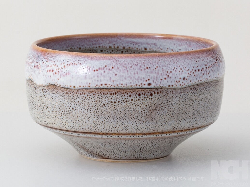 西海陶器：限定版 - 白椀 - 珊瑚珊瑚、磁器抹茶碗、ギフトボックス付き