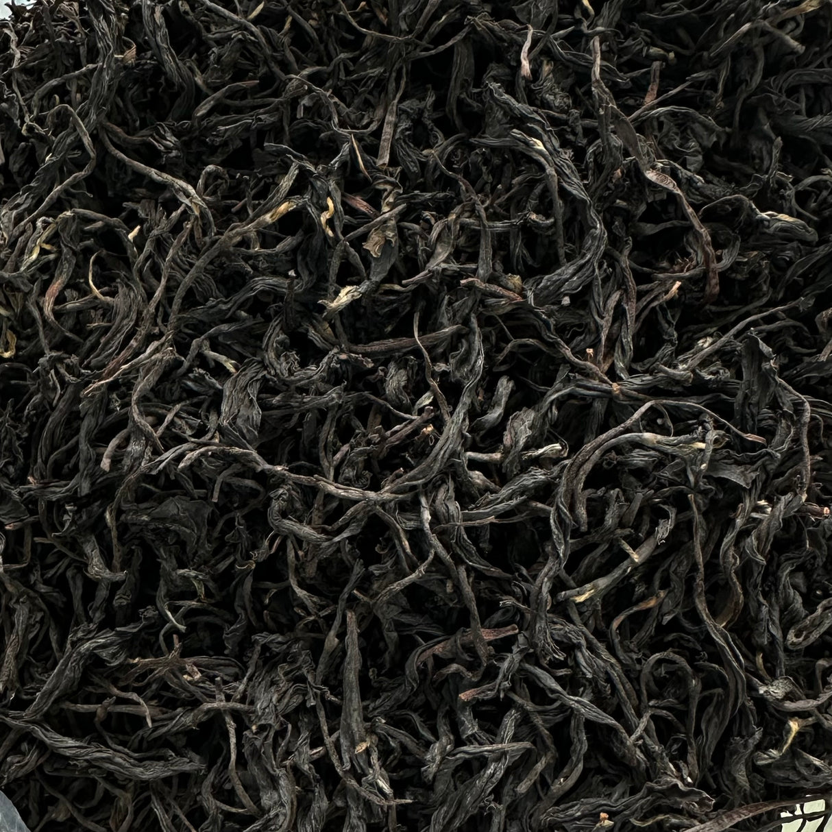 #0931.M3 一心茶園 和紅茶 宮崎泉 単一品種 紅茶