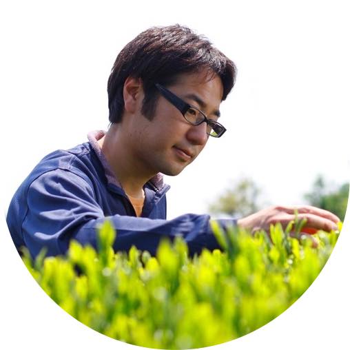 #0324.S2：【新茶】特上煎茶「桜」｜平岡園
