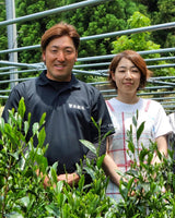 #0067.F2 Kurihara Tea: Shin 心 (Heart) - Premium Gyokuro Green Tea - Naturally Grown