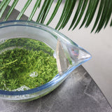 #0422.K2 Koukien Tea Garden: Asamushi Kabusecha - Kawaguchi Sisters' Kirishimacha Refreshing Moment - Premium ホッと一息