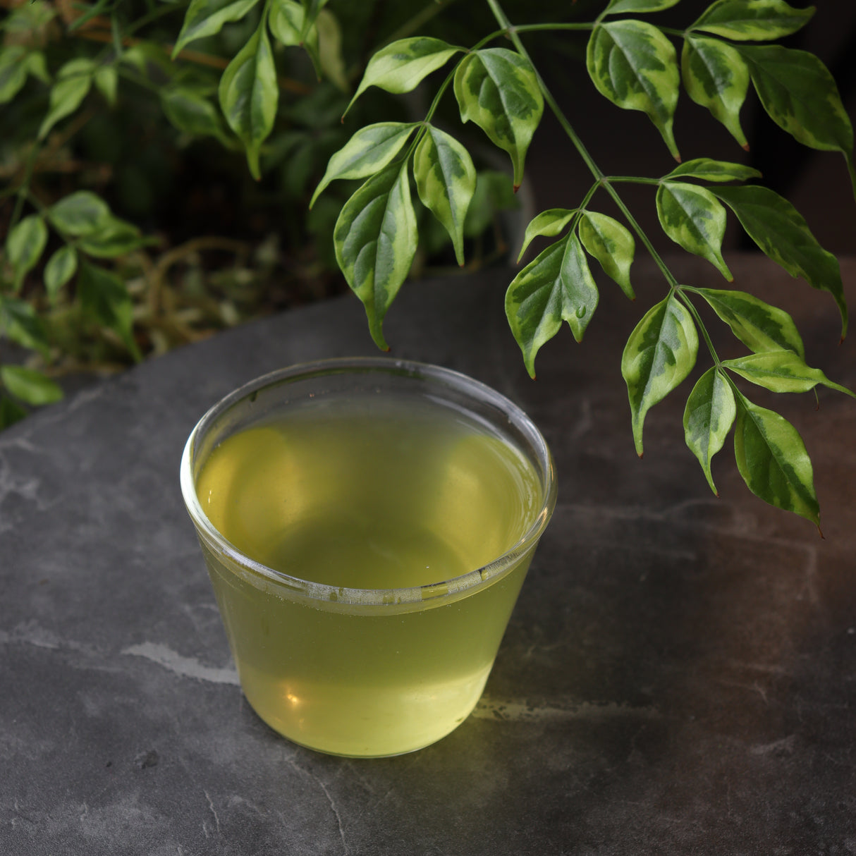 #0205.S5 土橋園茶 #12:掛川シリーズ:春摘み静岡産荒茶・初緑荒茶 初緑 200g