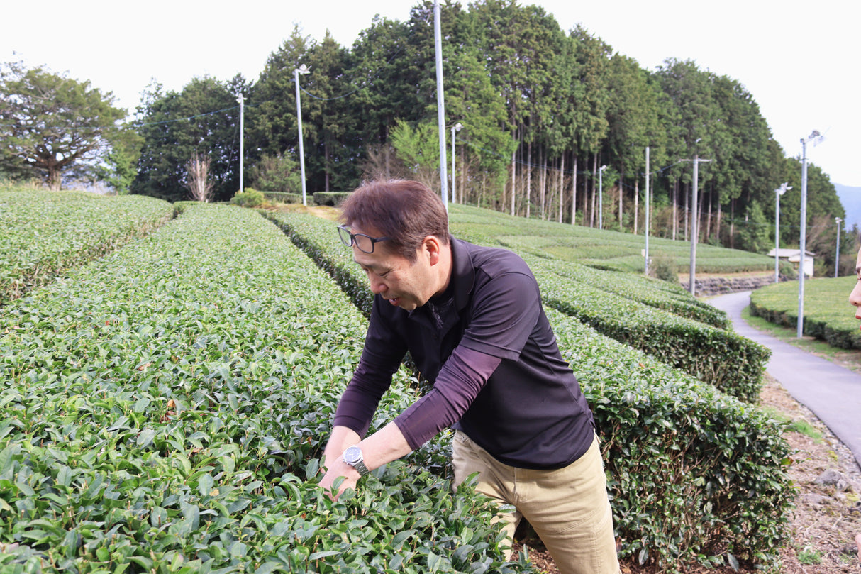 #1057.G1 Nitta Tea Farm: Premium Hojicha