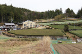 #1056.G1 Nitta Tea Farm: Premium Karigane