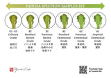 #0967.TX Yunomi.Matcha - Barista no Mikata - Matcha Outlet for Delicious Lattes