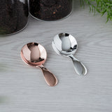 Aoyoshi: Stainless Tea Caddy Spoon Silver & Gold Color