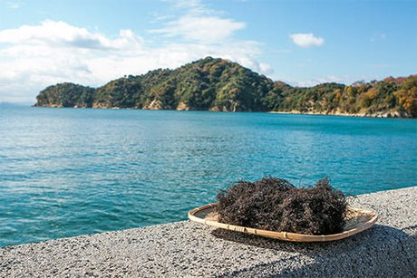 Amabito no Moshio Gourmet Seaweed Salt by Kamagari Bussan - natsumiya.live