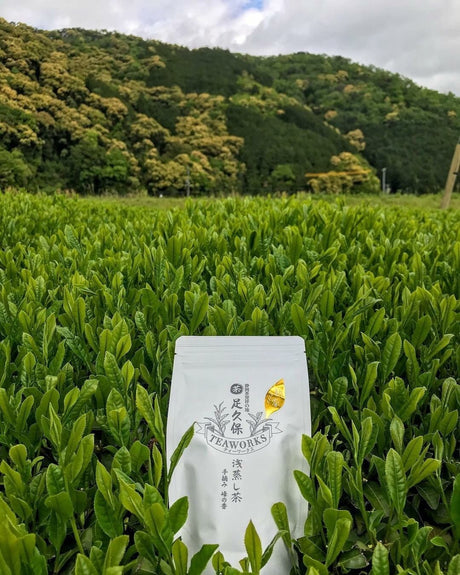 Ashikubo Teaworks: 2022 Handpicked Asamushi Sencha Mine no Kaori 足久保 浅蒸し茶 手摘み 峰の香 - natsumiya.live