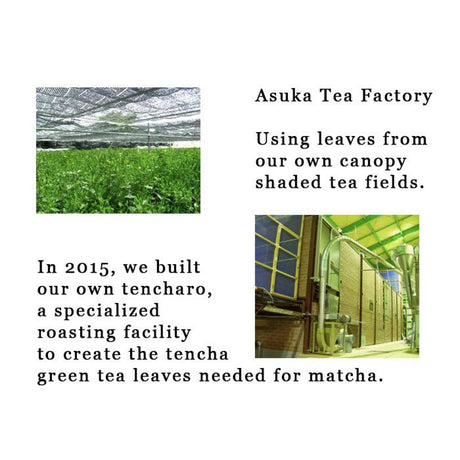 Asuka Tea Factory: Sayama Matcha, Myoushou Green 狭山抹茶明松 みどり - natsumiya.live
