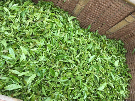 Ayumi Farms (Cyittorattu): Handpicked Wakocha (Japanese black tea, 40g bag) - natsumiya.live
