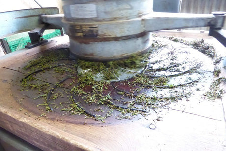 Ayumi Farms (Cyittorattu): Wakocha (Japanese black tea, 100g) - natsumiya.live