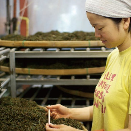 Ayumi Farms (Cyittorattu): Wakocha (Japanese black tea, 100g) - natsumiya.live