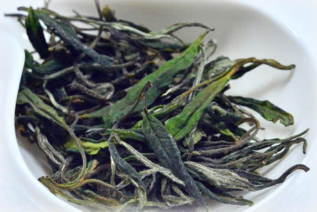 Bizenya: #05 Haru - Handpicked Sayamacha White Tea, Fukumidori Cultivar - natsumiya.live