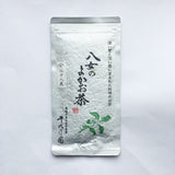Chiyonoen Tea Garden #08: 2022 Mountain-Grown Yame Sencha, Hachijyuhachiya 八十八夜 - natsumiya.live