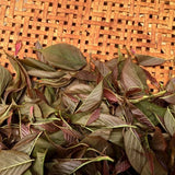 Chiyonoen Tea Garden: #27 Mountain-Grown Yame Sakura Leaf Black Tea 【矢部紅茶】春の香紅茶　桜のナチュラルフレーバー - natsumiya.live