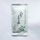 #0254.F2 Chiyonoen Tea Garden: 2026 Mountain-Grown Single Cultivar Sencha, Yama no Ibuki 山の息吹 (Naturally Grown)