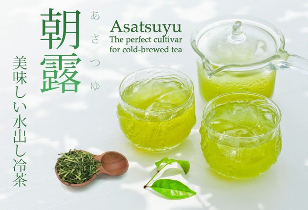 Dobashien Tea #08: Kakegawa Series: Single Cultivar Sencha, Asatsuyu 煎茶 朝露 - natsumiya.live