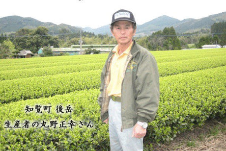 Furuichi Seicha: #04 Oku-Chiran Sencha, Shu - Elegance　奥知覧茶　秀 - natsumiya.live