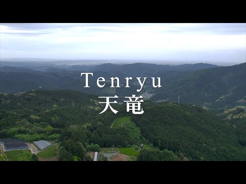 #0404.S5 金田太田茶園：超マイクロバッチ煎茶 単一品種 夢駿河