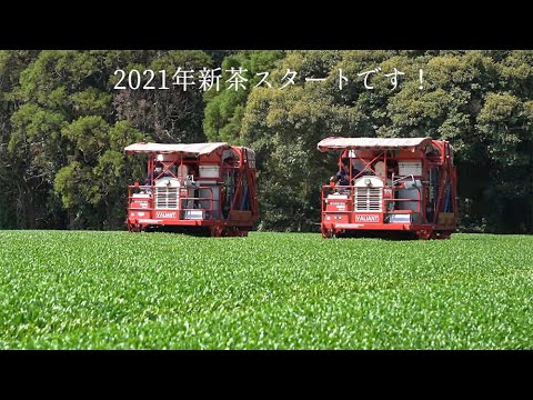 #0709.K2 Wakoen Tea Farm: NOT AVAILABLE 🍵 2026 Kagoshima Fukamushicha - Takumi (Premium Grade) 和香園  深蒸し茶  匠