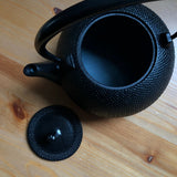 Ikenaga Ironworks: Nambu Cast Iron Tea Kettle Nozomi - Induction Heating (IH) Compatible - natsumiya.live