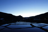 Kameya Foods: Farm Direct Wasabi Chazuke - Seasoning for Rice Tea Soup - natsumiya.live