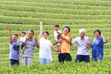 Kaneroku Matsumoto Tea Garden: 2022 Shincha - Limited Edition - Ohashiri 大走り新茶 - natsumiya.live