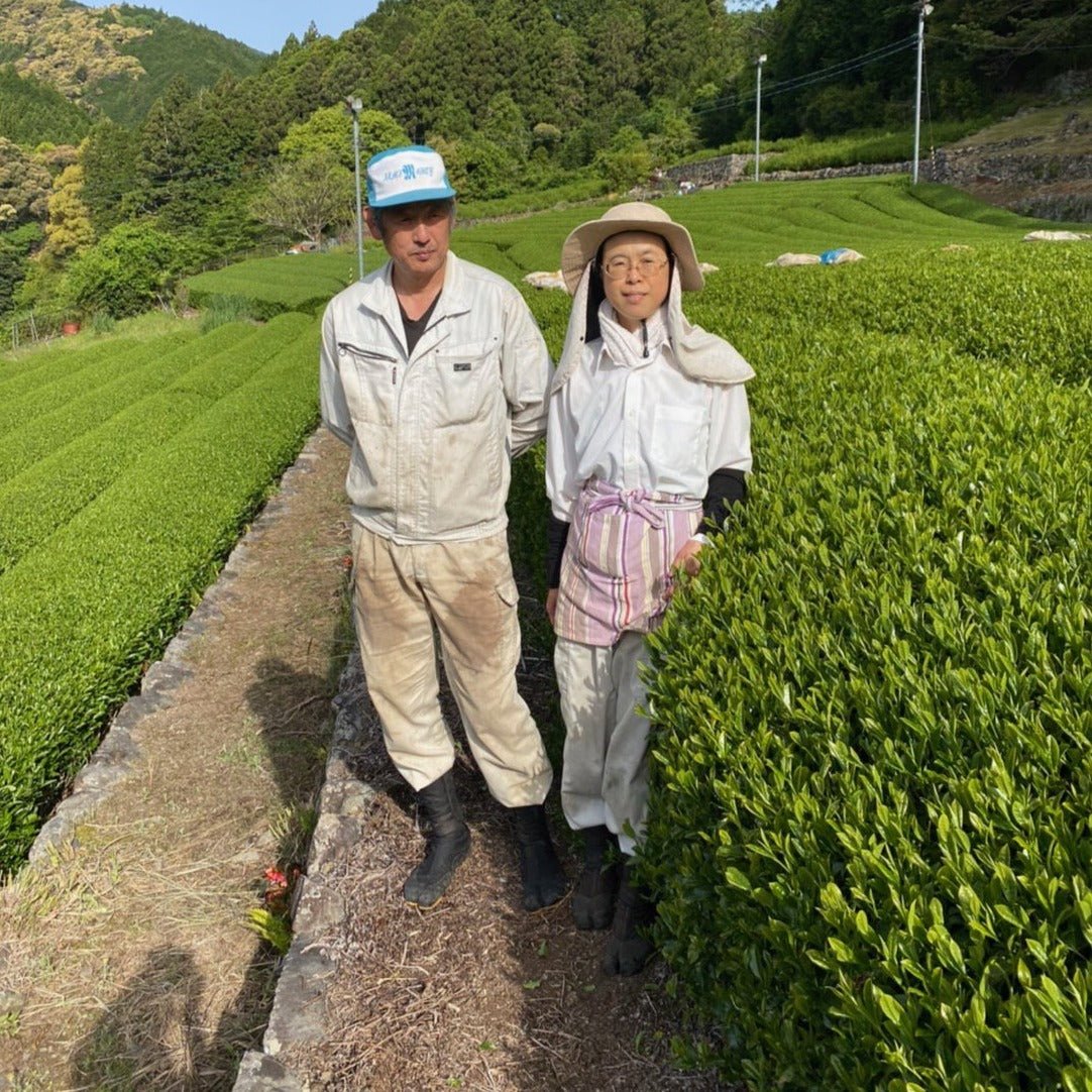 Kiyosawa Tea Gardens: Shizuoka Spring Asamushi Sencha by Farmer Sugiyama Yachiyo - natsumiya.live