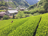 Kiyosawa Tea Gardens: Shizuoka Spring Asamushi Sencha by Farmer Sugiyama Yachiyo - natsumiya.live