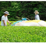 Kiyosawa Tea Gardens: Shizuoka Spring Asamushi Sencha by Konagai Chizuko - natsumiya.live