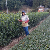 Kiyosawa Tea Gardens: Shizuoka Spring Kukihojicha Roasted Green Tea Leaf Stems by Farmer Kajiyama Yukako - natsumiya.live