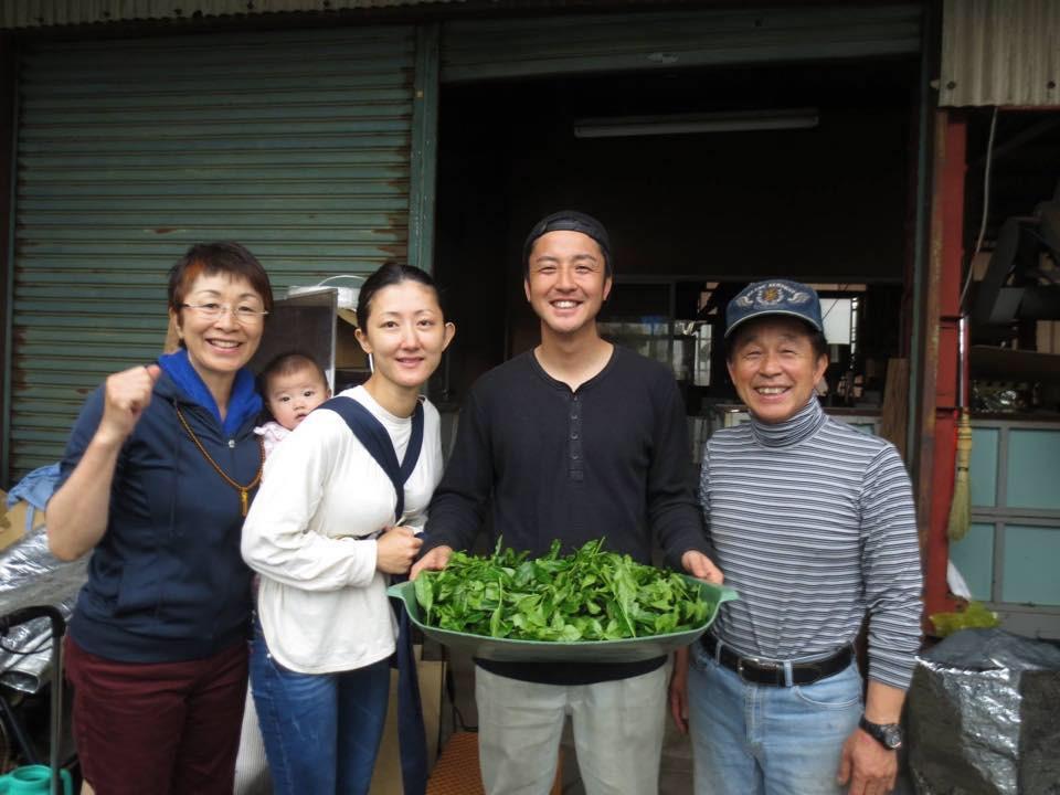 KU007 Tomizawa Tea Garden: Gyokuro Tamaryokucha from Mashiki, Kumamoto - "Green Tea.Lab" 玉露 - natsumiya.live