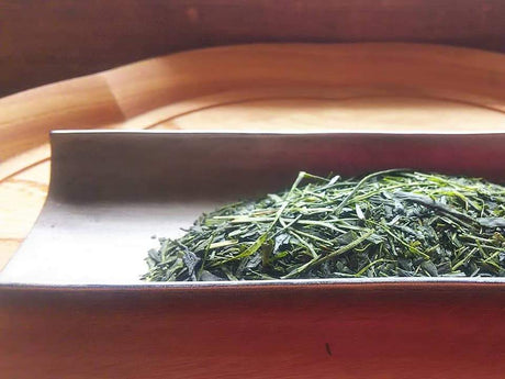 Kuma Tea Gardens: Mountain-Grown Yame Sencha, Single Cultivar Kirari 31 - natsumiya.live