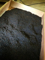 Kurihara Tea #18: Oku Yame Black Tea Benifuuki べにふく - natsumiya.live