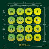 Mandara Green Tea Sampler Set by Kadode Ooigawa, Shizuoka - 4 steaming levels vs 4 green-roasting levels. (16 tea bags) - natsumiya.live