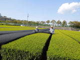 Marushige Shimizu Tea Farm: Kabusecha Shaded Green Tea, Tsuyuhikari つゆひかり - natsumiya.live