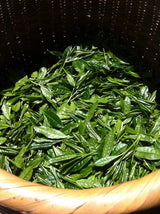 Mitocha NR005: Aged, Sun-dried Kamairicha Bancha 天日干し釜炒りばん茶 - natsumiya.live
