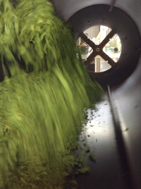Mitocha NR005: Aged, Sun-dried Kamairicha Bancha 天日干し釜炒りばん茶 - natsumiya.live
