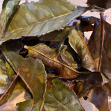 Mitocha NR006: Makibi Kancha Firewood Winter Green Tea (Aged) 薪火寒茶 - natsumiya.live