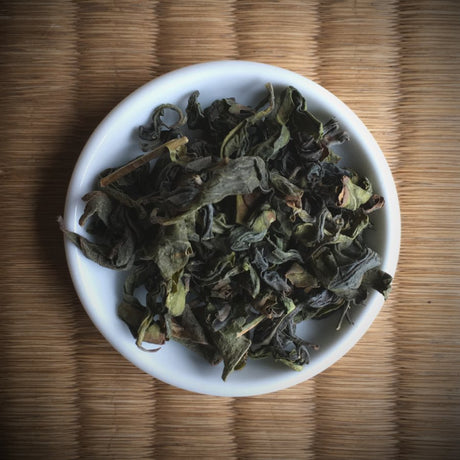 Miyazaki Sabou MY15: Oolong Tea - Saemidori Single Cultivar - natsumiya.live