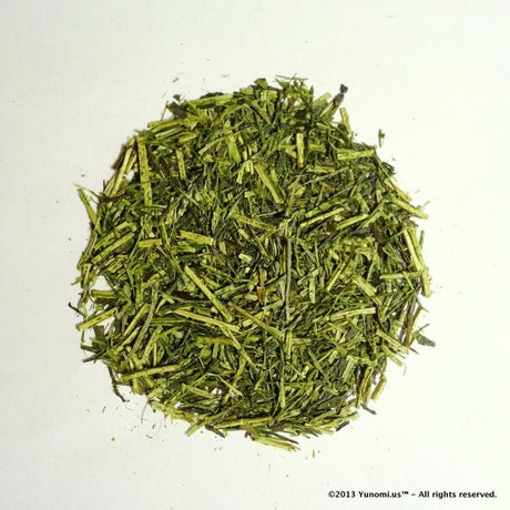 Morita Tea Garden #04: 2022 Sayama Karigane (Premium Stem Tea) 雁が音 - natsumiya.live