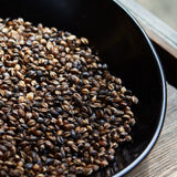 Nabeshima Hida Mugicha Barley Tea (bulk) 飛騨むぎ茶 - natsumiya.live