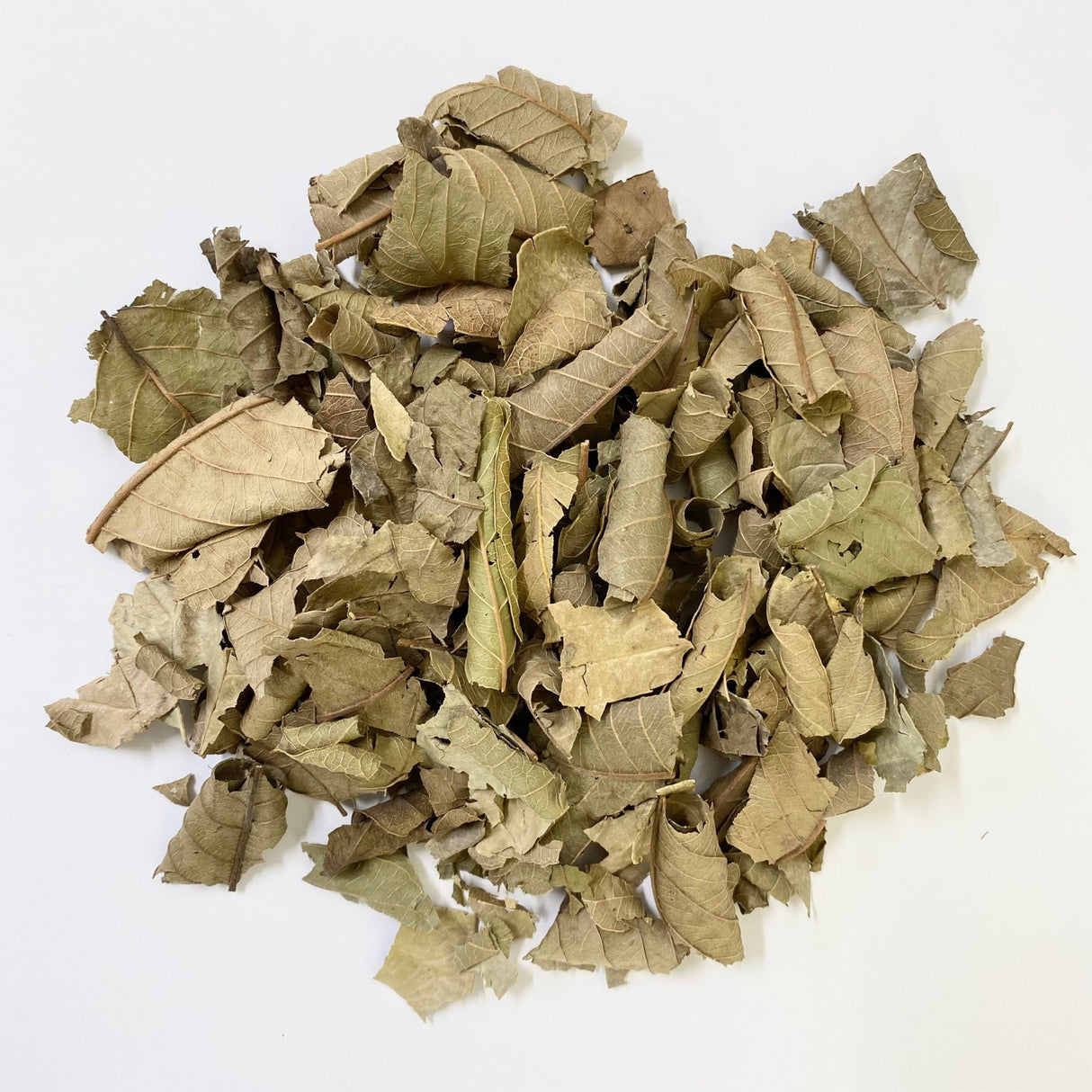 Nakazen: Guava Leaf Tea (loose leaf) - natsumiya.live