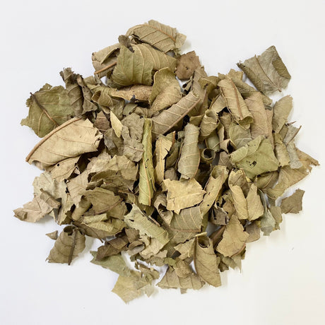 Nakazen: Guava Leaf Tea (loose leaf) - natsumiya.live