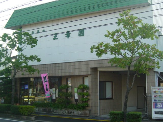 Nama Toubancha: Non-Steamed Green Tea from Ocha no Sankoen, Shimane, Japan - natsumiya.live