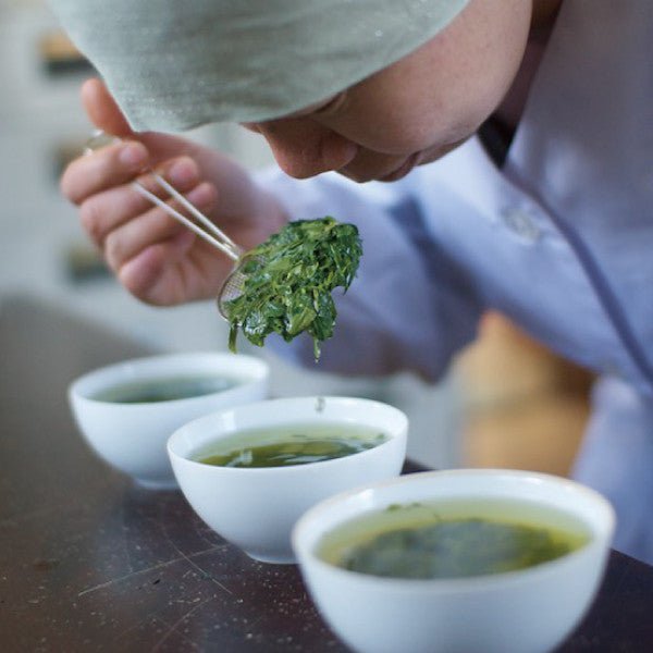 NaturaliTea #02: 2022 Hachijyuhachiya Sencha Green Tea, Spring Midori First Flush 有機八十八夜摘み 春の香みどり - natsumiya.live