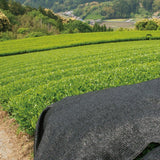 NaturaliTea #18: 2022 Organic Premium Kabuse Sencha 有機一番摘み煎茶: 冠(かぶせ)茶 - natsumiya.live