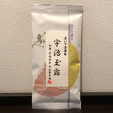 Nishide G10: Standard Uji Gyokuro 宇治玉露 - natsumiya.live