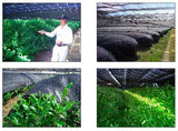 Nishide Premium Selection: Gyokuro Samidori by The Nishikawa Tea Farm 宇治田原西川茶園製玉露さみどり - natsumiya.live