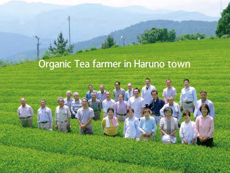 Osada Tea: Organic Yamabuki Nadeshiko, Kurokoji Fermented Tea 有機山吹撫子 - natsumiya.live